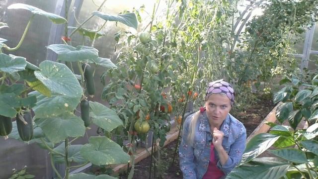 Как справиться с вершинной гнилью