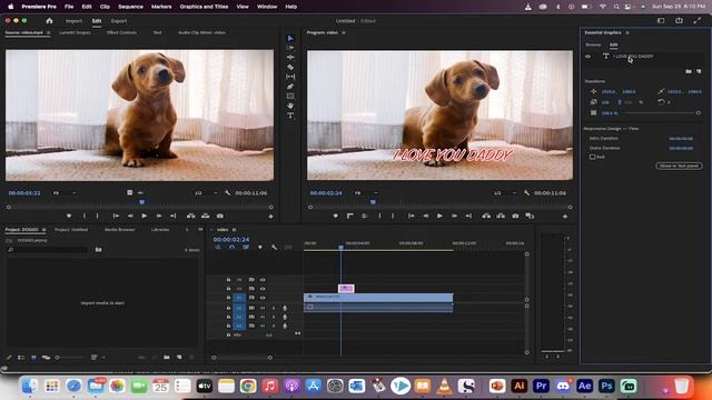 Add Text and Edit Text QUICKLY - Text Panel - Premiere Pro CC
