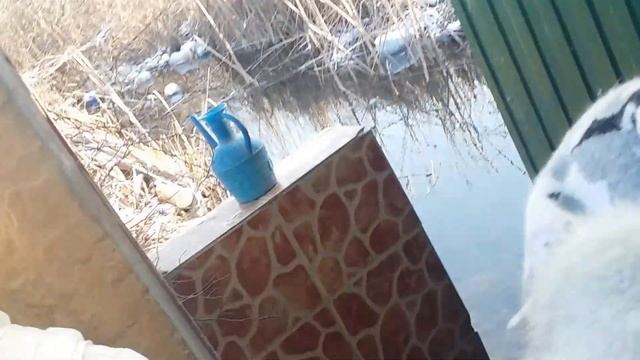 Родник смотреть онлайн