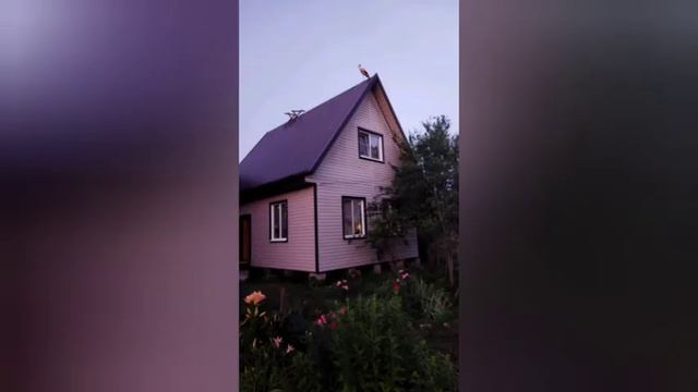 Аист на крыше смотреть онлайн