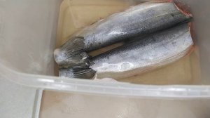 ГОЛЕЦ холодного копчения в коптильне Москит.mp4