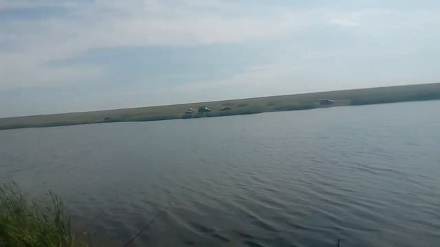 Оренбург «клевое место» платный пруд, рыбалка карп.