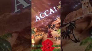 ХАЙДАРКАНЦЫ. ДОСТОРГО!