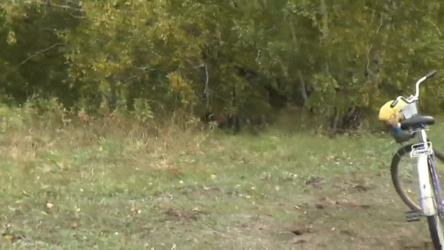 С чем входят в осень и зиму в Потеряевке. 28. 09. 2019 смотреть онлайн