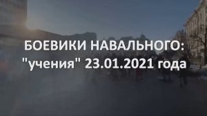 Боевики Навального. Итоги митингов 23 января в России