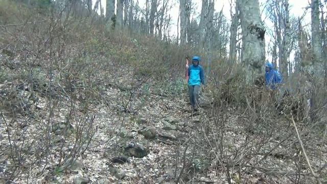 Гора Семиглавая Терзиянская