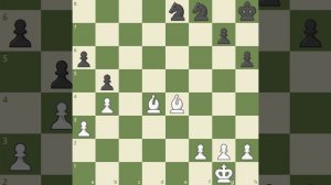 Как использовать слонов