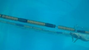 Техника выполнения поворота способом дельфин