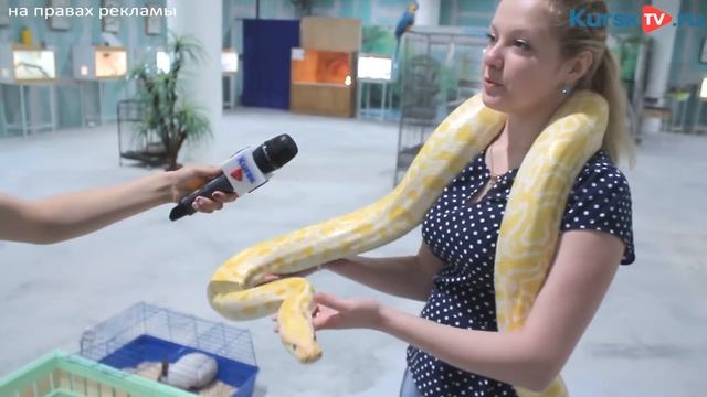 Зоопарк "В мире животных" приехал в Курск на лето 2016 смотреть онлайн