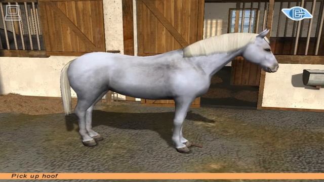 Let's Ride! Riding Star / Riding Star 3 (part 24) (Horse Game) смотреть онлайн