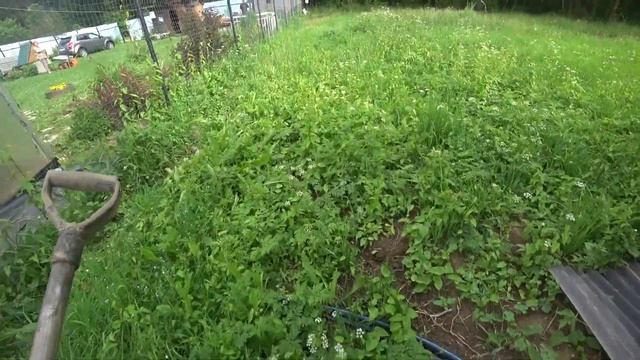 Ох уж этот Сергиево-Посадский ледник! смотреть онлайн