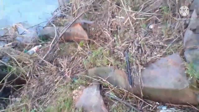 Поиск металла, на реке!! Горе находки. смотреть онлайн