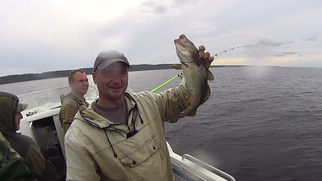 БЕШЕННЫЙ КЛЁВ ТРЕСКИ! БЕЛОЕ МОРЕ. ВОТ ЭТО ПОКЛЕВАЛО!!! смотреть онлайн