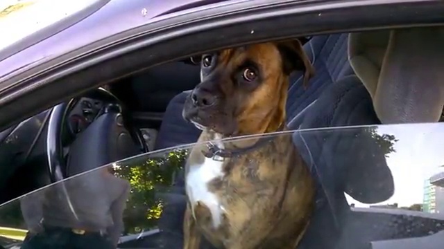 Остановили за превышение (Watch Me!) смотреть онлайн