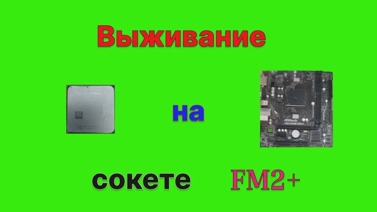 Антология FM2+