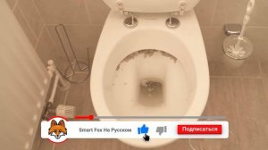 ЭТА комбинация поможет очистить унитаз под бортиком ?