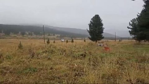 земельные участки