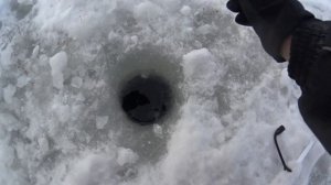 Зимний лещ. Озернинское водохранилище