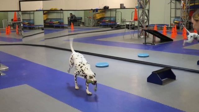 тренировка по Аппортировке. смотреть онлайн