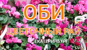 ОБИ —  ЦВЕТОЧНЫЙ РАЙ: выбор цветов и цветочных горшков: цены на 30 июля 2023