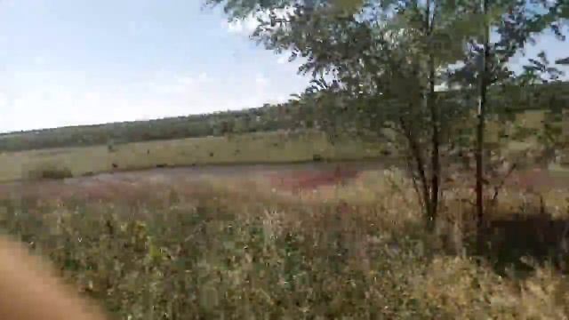 рыбалка на р. Черный Ташлык смотреть онлайн