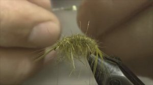 Tying a Gammarus Scud Olive Nymph