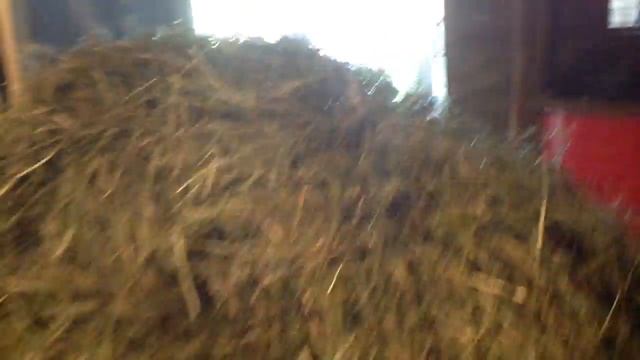 Сенокос начался! смотреть онлайн