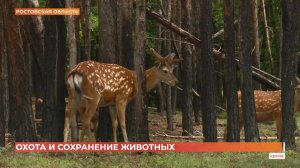 В Ростовской области готовятся к открытию  сезона охоты