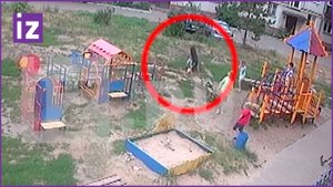 Собака искусала лицо 6-летнего мальчика на детской площадке в Казани / РЕН Новости