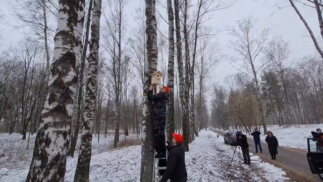 В парке Мазурино установили новые скворечники смотреть онлайн