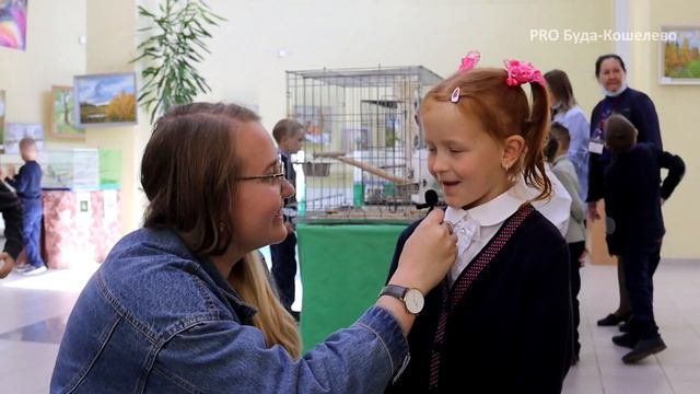 Выставка 