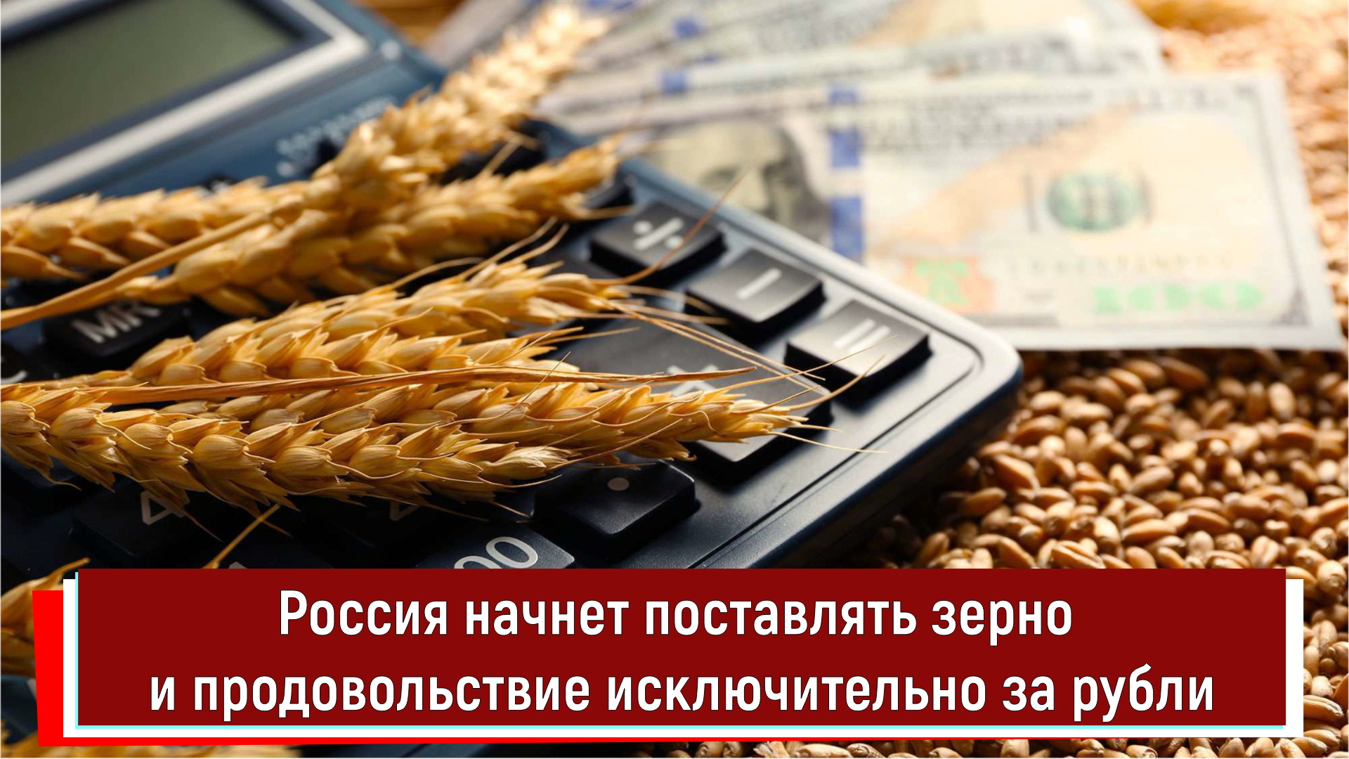 Россия начнет поставлять зерно и продовольствие исключительно за рубли