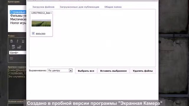 Как правильно оформлять истории на сайте. смотреть онлайн