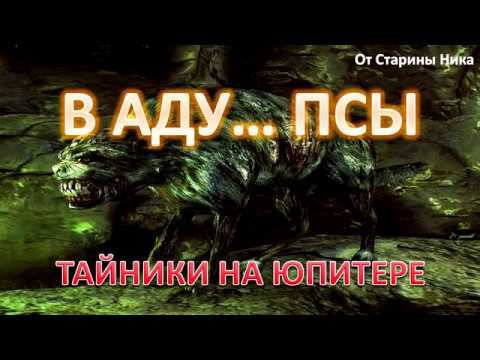В аду. A. В аду псы найти. Сталкер в аду псы прохождение. Сталкер в аду псы прохождение.
