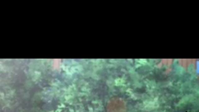 Забыла убрать знак кап кут смотреть онлайн