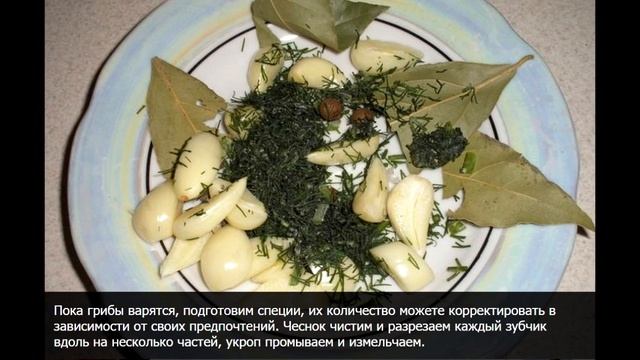 Соленые опята в банках горячим способом без уксуса рецепт на зиму