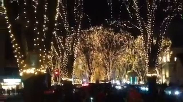 Рождество в японии город Сендай- XMAS in Japan city Sendai смотреть онлайн