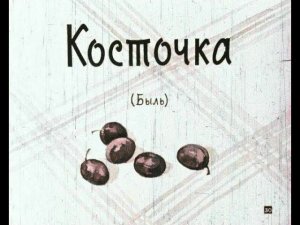 Косточка (чбдиаф-1964)