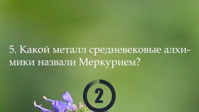Тест на Общие Знания с Ответами #16 | #интересныефакты | #викторина | #факты | #квиз | #тест смотреть онлайн
