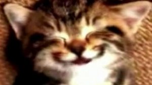 музыкальное поздравление бабушке от внуков