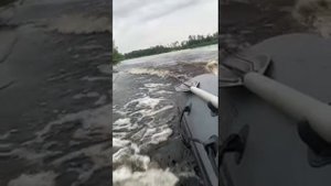 лодочный мотор сиа про 5