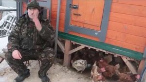 Защита курятника от грызунов.