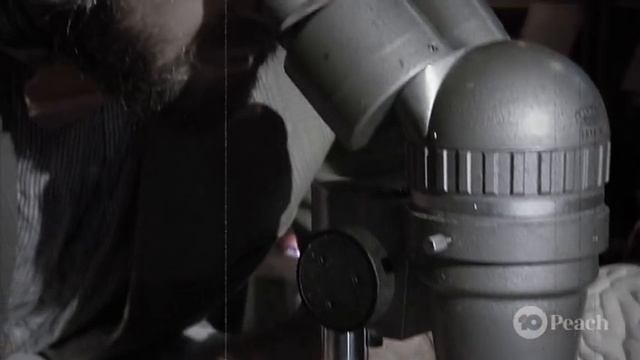 The Story of Louis Pasteur and Spontaneous Generation смотреть онлайн