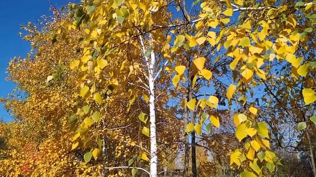 24 октября-ФИЛИППОВ ДЕНЬ/ДЕНЕГ много прибудет/Приметы