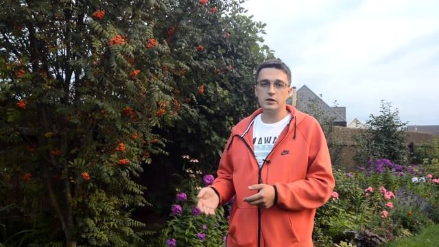 Константин отзыв реального владельца энергоэффективный дом Пеллетный котел Валдай автоматическая го