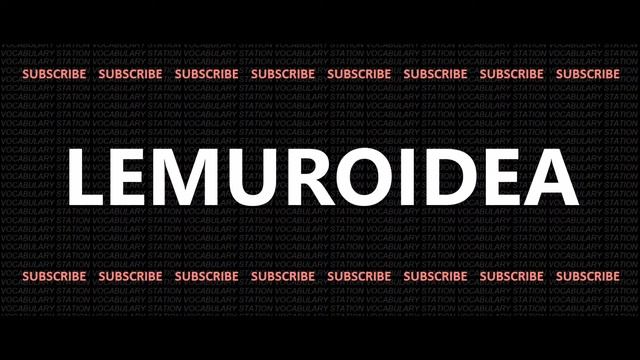 LEMUROIDEA PRONUNCIATION | HOW TO PRONOUNCE - English | VOCABULARY STATION смотреть онлайн