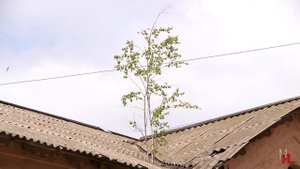 "Временное жилье" - как в нем жить и как признать аварийным