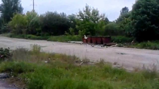 Реальность #2 НАГЛЫЕ ГОЛУБИ И ГОРДЫЕ ЧАЙКИ смотреть онлайн