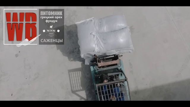 Конкурентная способность Фундука. Hazelnut Processing. Walnuts Broker #HazelnutProcessing смотреть онлайн