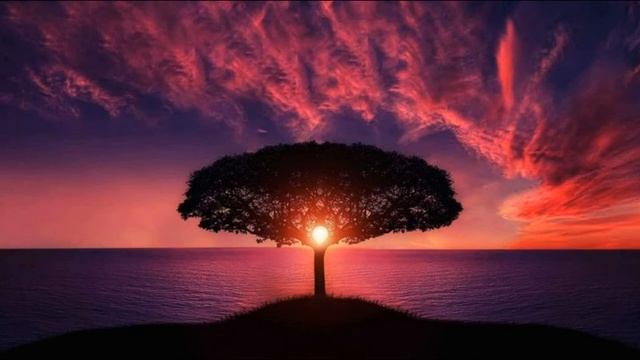 Медитация на поиск истинных желаний смотреть онлайн